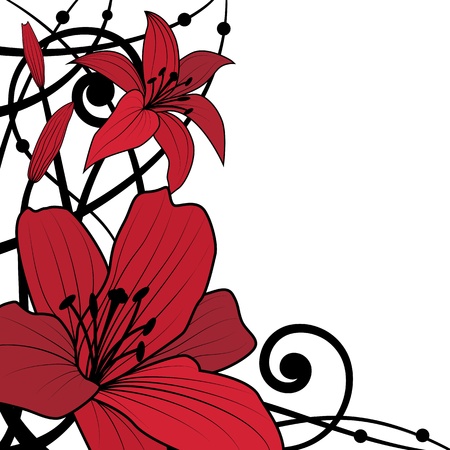 vector background of lily in black and red colorsのイラスト素材