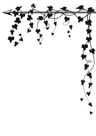 vector corner design with branch of ivyのイラスト素材