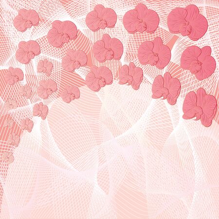 vector background with flowers of orchid in pink colors のイラスト素材