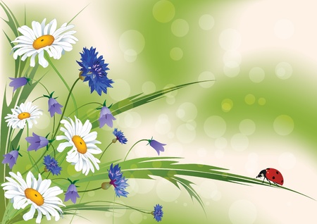 vector floral background with ladybirdのイラスト素材