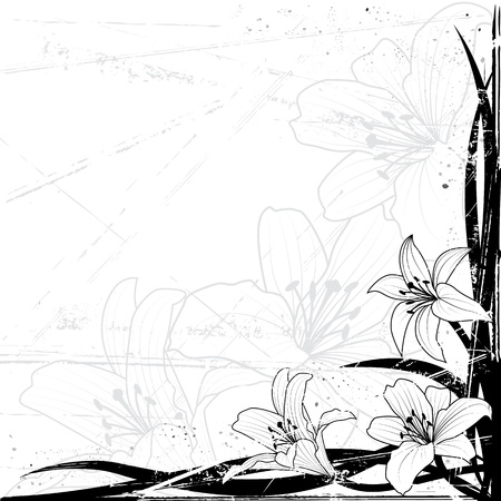 background with lily in black and white colorsのイラスト素材