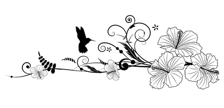 Vector floral composition with hibiscus in black and white colorsのイラスト素材