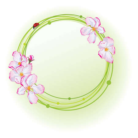 frame with flowers of apple and ladybird  のイラスト素材