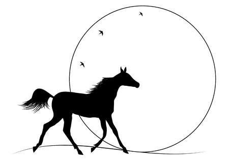 illustration of running horse against sunsetのイラスト素材