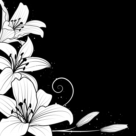 illustration with flowers of lily in black and white colorsのイラスト素材