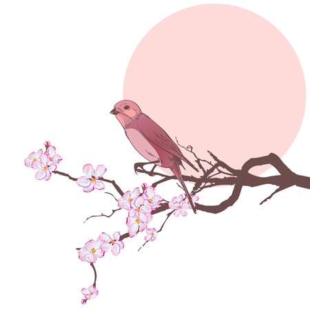 vector illustration of bird on the branch of cherry tree   EPS 10 のイラスト素材