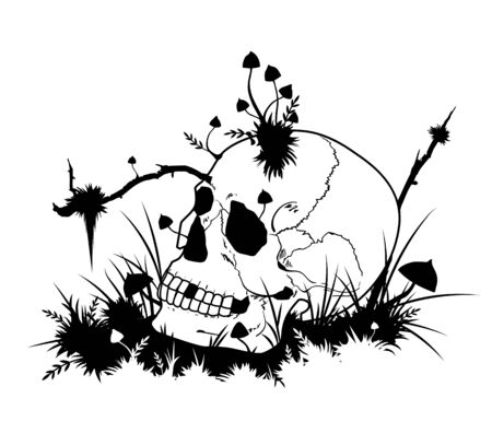 vector Halloween illustration with skull  and mushrooms in black and white colorsのイラスト素材