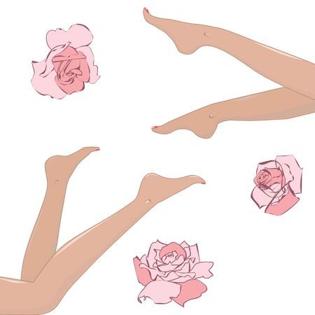set of design elements with roses and womans  legsのイラスト素材