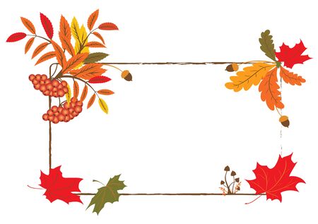 vector autumnal frame with mushrooms, ashberry and maple foliageのイラスト素材