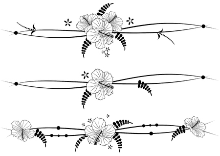set of vector floral dividers with flowers of hibiscus in blak and whiteのイラスト素材