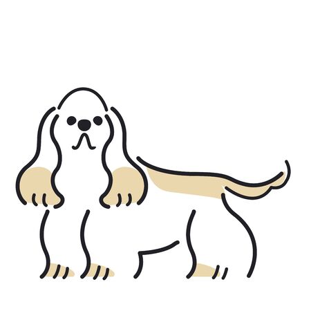American Cocker Spaniel standing upのイラスト素材