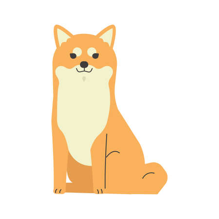 One Shiba Inu sittingのイラスト素材