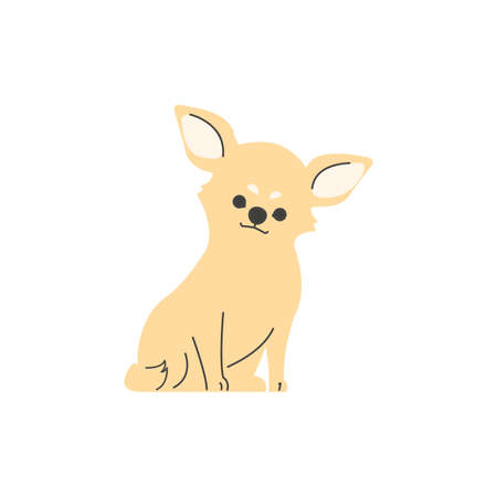 A chihuahua sittingのイラスト素材