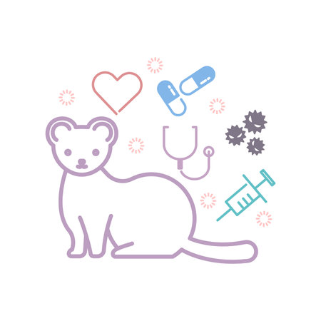 Image of a ferret surrounded by medicine and stethoscopeのイラスト素材