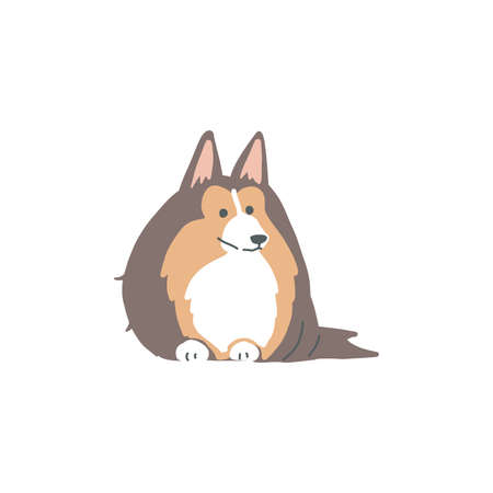 This is an illustration of a brown Shetland Sheepdog looking down and looking somewhere.のイラスト素材