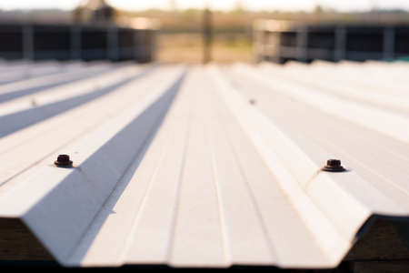 Metal sheet for industrial building and construction, Steel roof