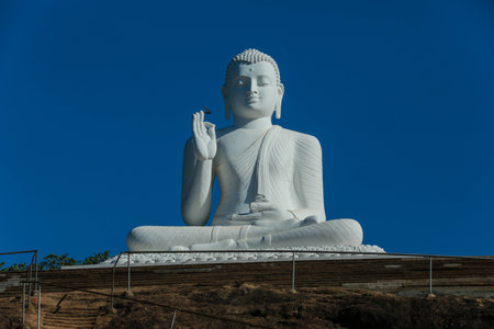 Buddha in Sri Lankaの写真素材