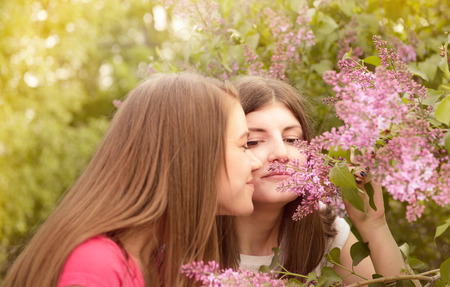 Two young women walking outside in a park at the violet lilac treeの写真素材