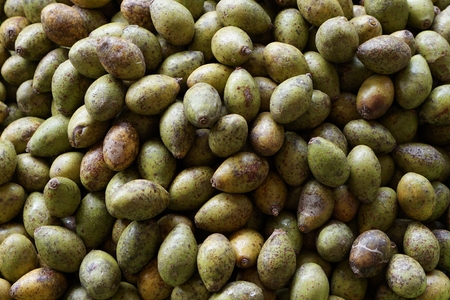 group of fresh olive (Elaeocarpus)の写真素材