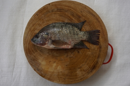 isolated Nile tilapia on the wood chopped boardの写真素材