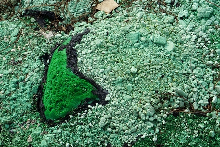 the green chemical waste from the industryの写真素材