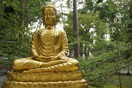 The attitude of meditation of golden image of Buddhaの写真素材