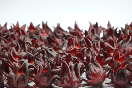 group of fresh roselle flower in white backgroundの写真素材