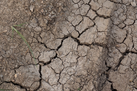 abstract cracking clay after water dry out
