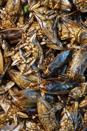 mix of water bugs or insect fried with pandanus leavesの写真素材