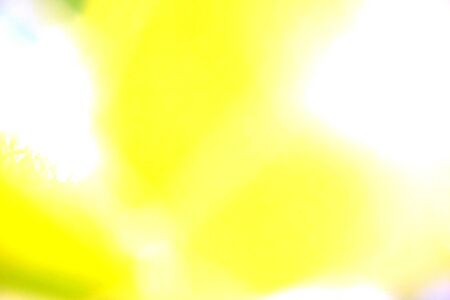 abstract blurred yellow effect for background usedの写真素材