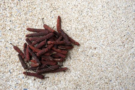 dry red long pepper on the concrete backgroundの写真素材