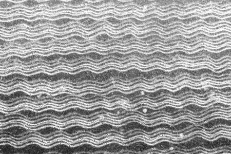 abstract multi waving line in blurred motionの写真素材