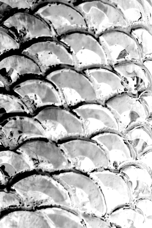 black and white art of fish scaleの写真素材