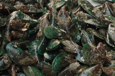 fresh sea mussel sale at the market in Thailand
