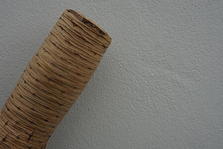 log the tree trunk with the white background
