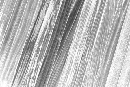 abstract of gray wood lath for background usedの写真素材