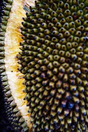 Jackfruit is the famous tropical fruit in Thailand