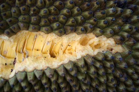 Jackfruit is the famous tropical fruit in Thailand