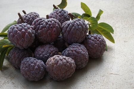 Thai native sweet fruit in purple custard apple