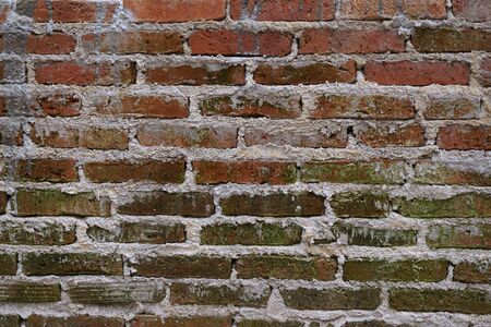 abstract of old brick wall for background used