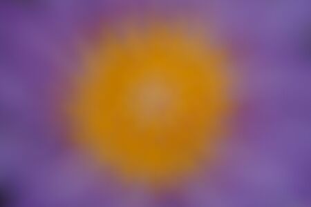 abstract blurred of purple water lily flowerの写真素材
