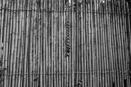 abstract of bamboo wall for background usedの写真素材