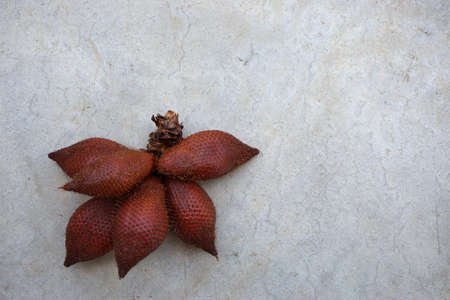 group of Salacca zalacca fruits are the favorite in tropical eating fruit with sweet in testの写真素材