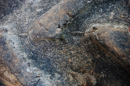 abstract of old rubber texture for background usedの写真素材