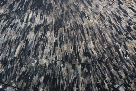 abstract of wood texture for background used