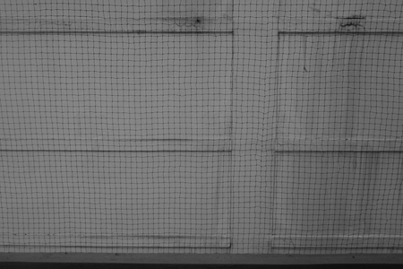 nylon net cover on the building for protecting the brid 