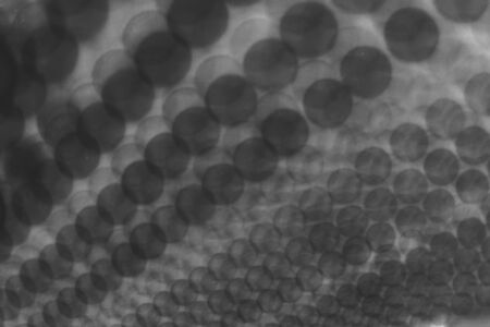 abstract blur of dot texture for background usedの写真素材