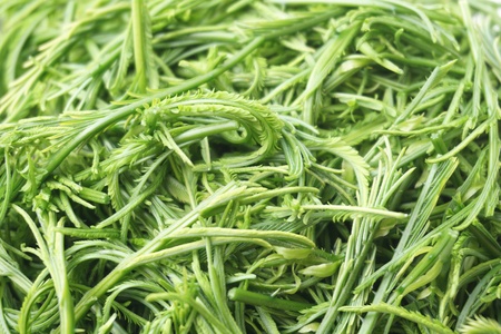 prepare green Acacia pennata for cooking in Thai food style