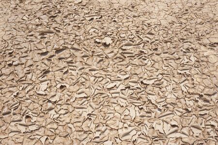 abstract of dry soil texture for background used