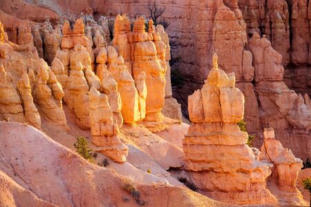Pillars at Bryce Canyon nation park, Utah, USA.の写真素材